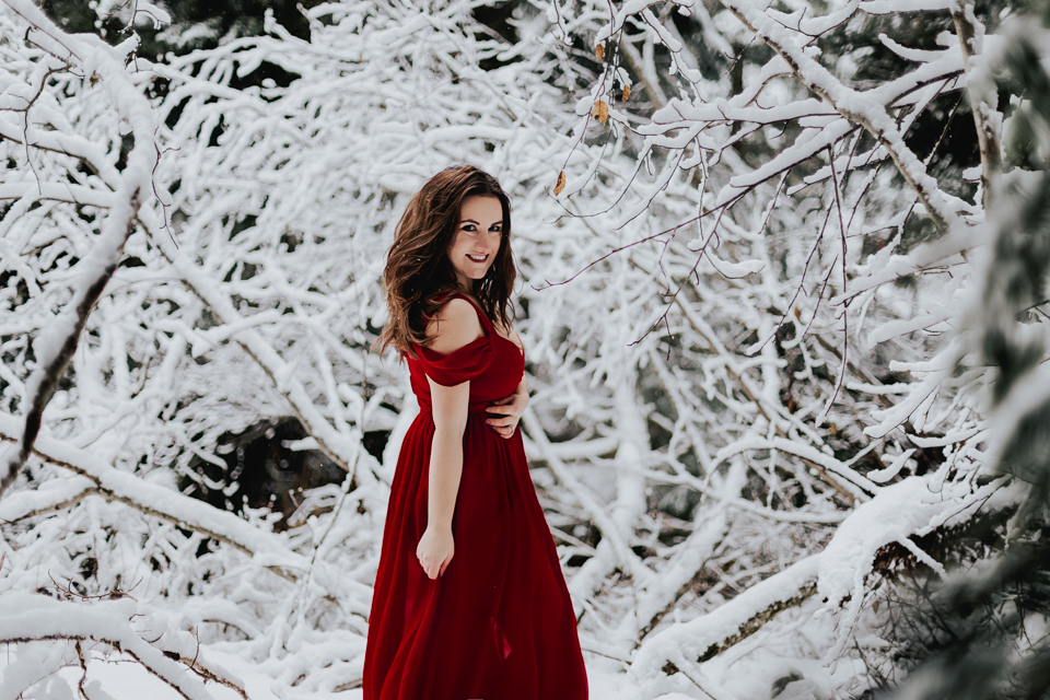 self portrait snow red dress