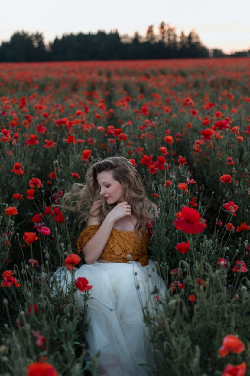 poppy flowers field blonde