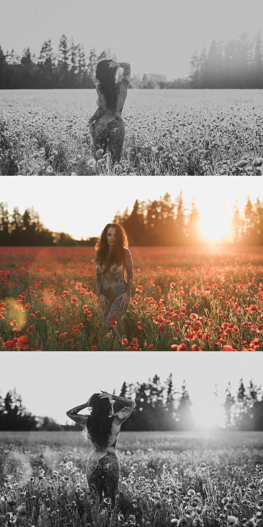 poppy field red flowers oregon boudoir