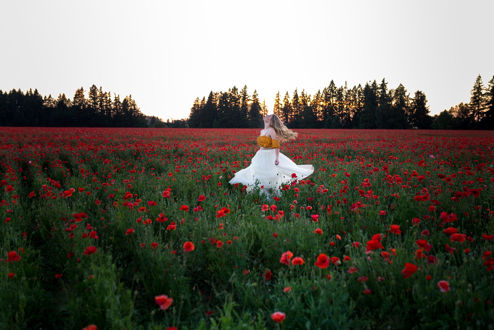 twirl in poppy flowers