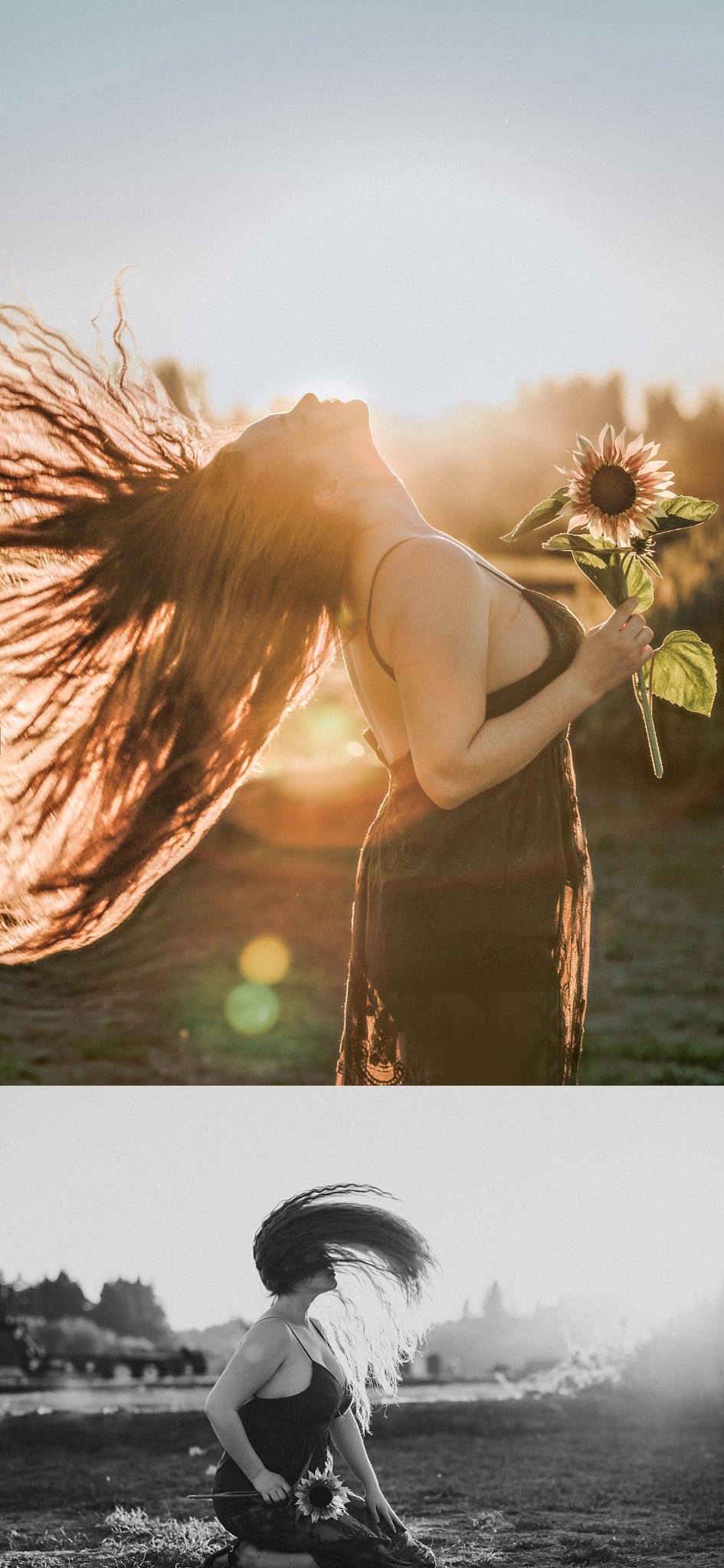 sunset sunflower field boudoir oregon